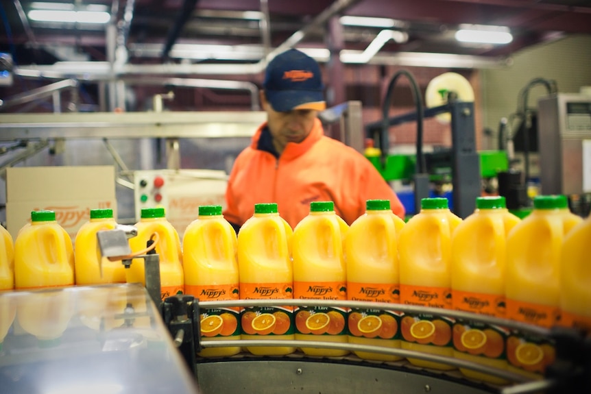 A man in high-vis examines a row of orange juice bottles on a production line.