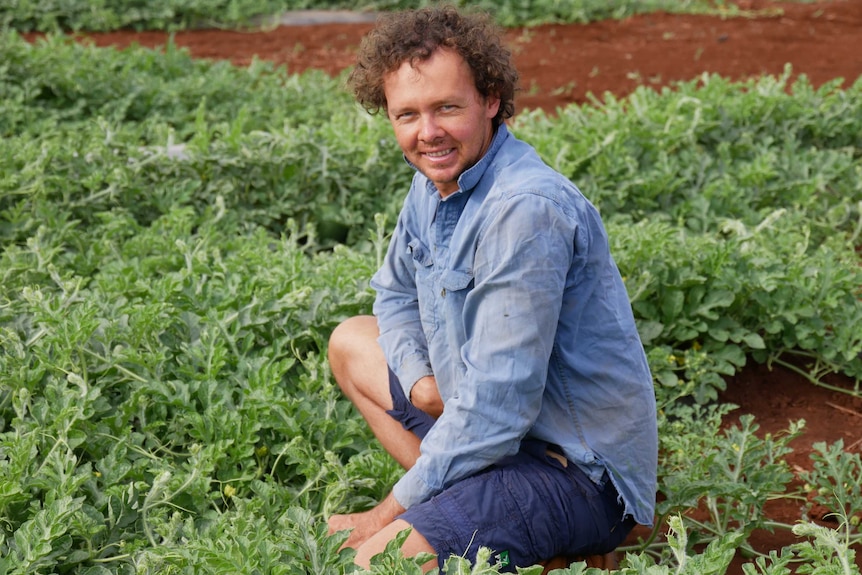 A man in his thirties wearing a battered work shirt crouches in a field of water melons. He's got a head of messy curly hair.