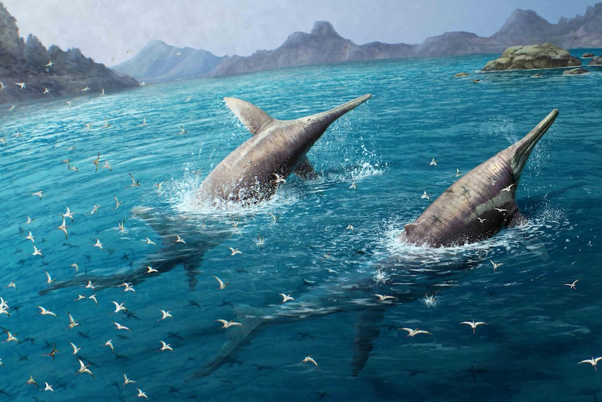 An artists impression of a large sea creature