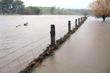Authorities expect floodwaters downstream of Shepparton to rise, as more rain is forecast.