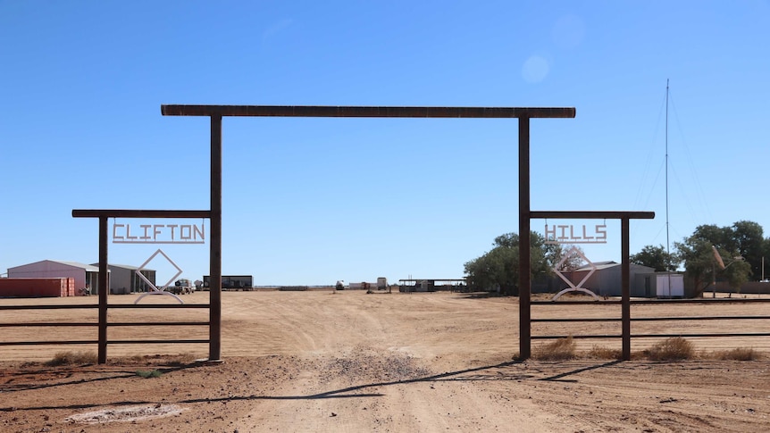 Outback cattle station Clifton Hills, one the biggest in the is up for sale - ABC News