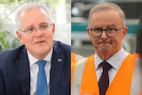 A composite image showing Scott Morrison and Anthony Albanese.