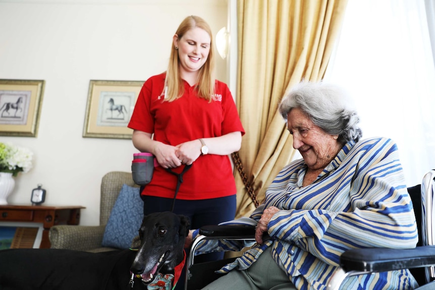 Delta Society volunteer Alana Wade with her greyhound Tiffany, standing with a Jindalee resident.