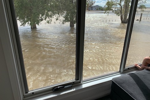 A photograph from inside a Birchip house shows floodwaters have risen to the bottom of the windowsill.