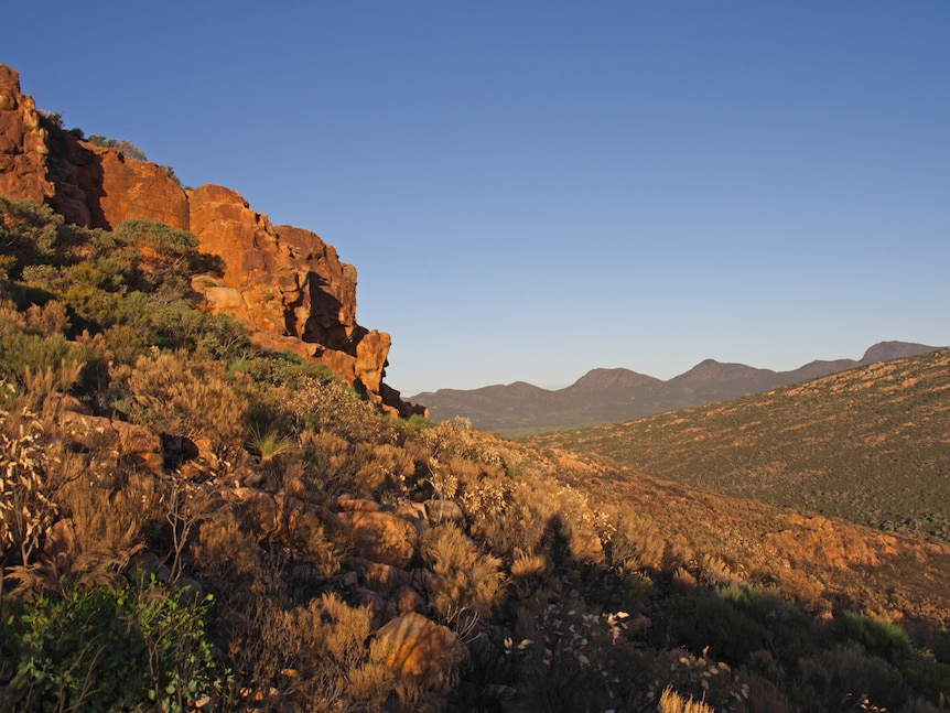 Dawn over mountain range