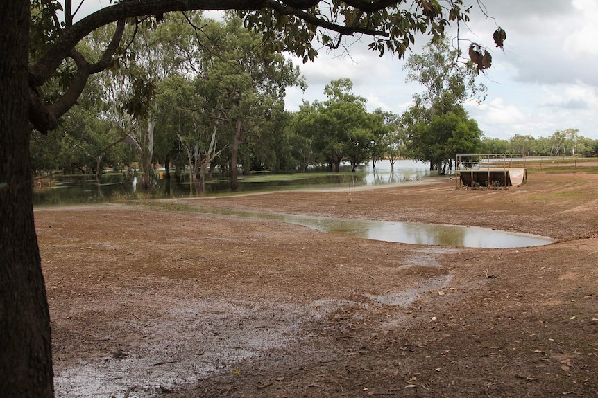 A photo showing the high water levels next to the community.