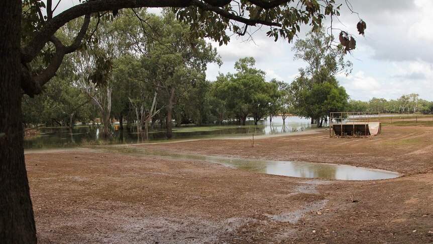 A photo showing the high water levels next to the community.