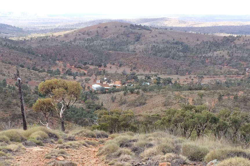 Hills of Mannahill, covered in trees and with some buildings in a valley.