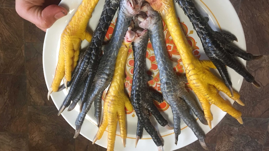 Raw chicken feet on a plate.