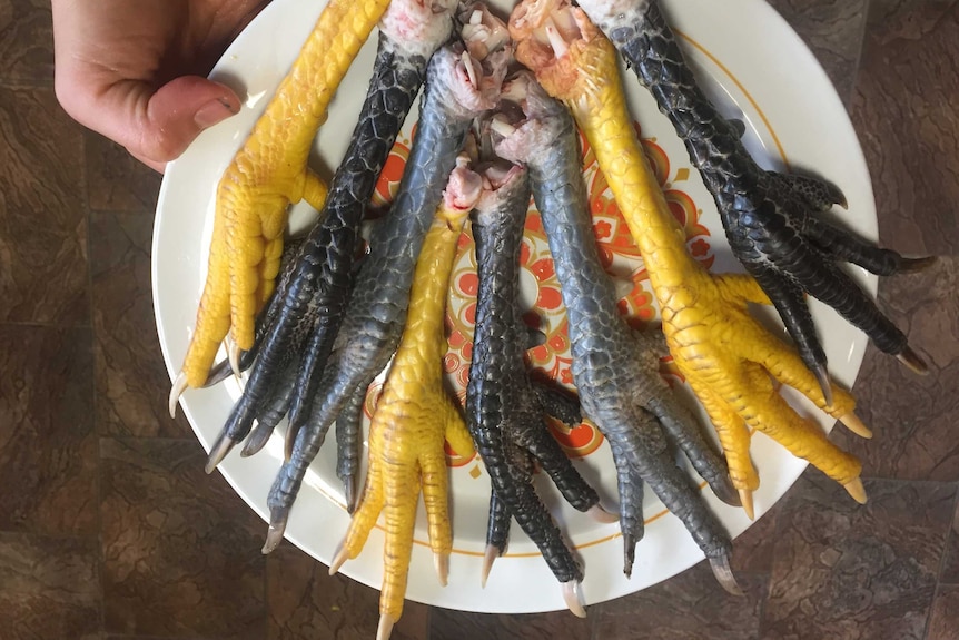 Raw chicken feet on a plate.