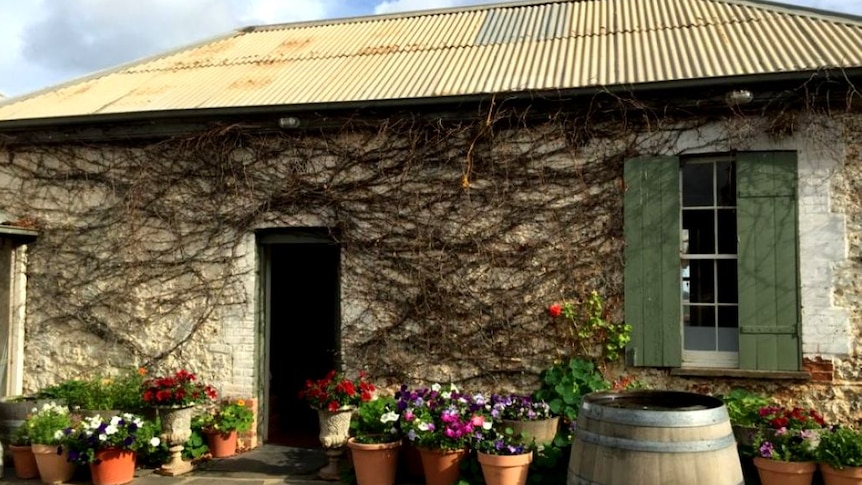 Wine Cellar door