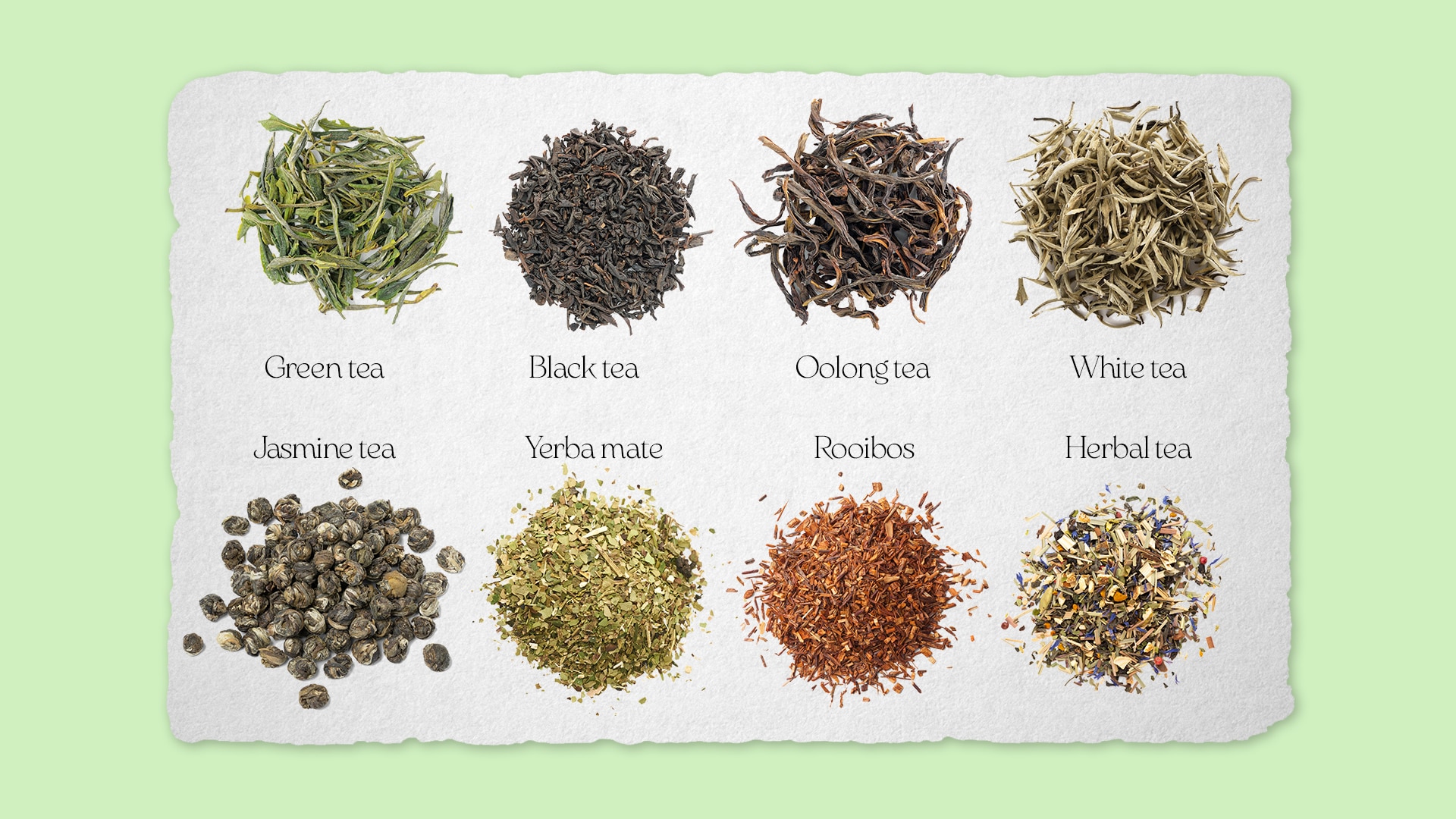 A graphic showing different types of tea: green tea, black tea, oolong and white.