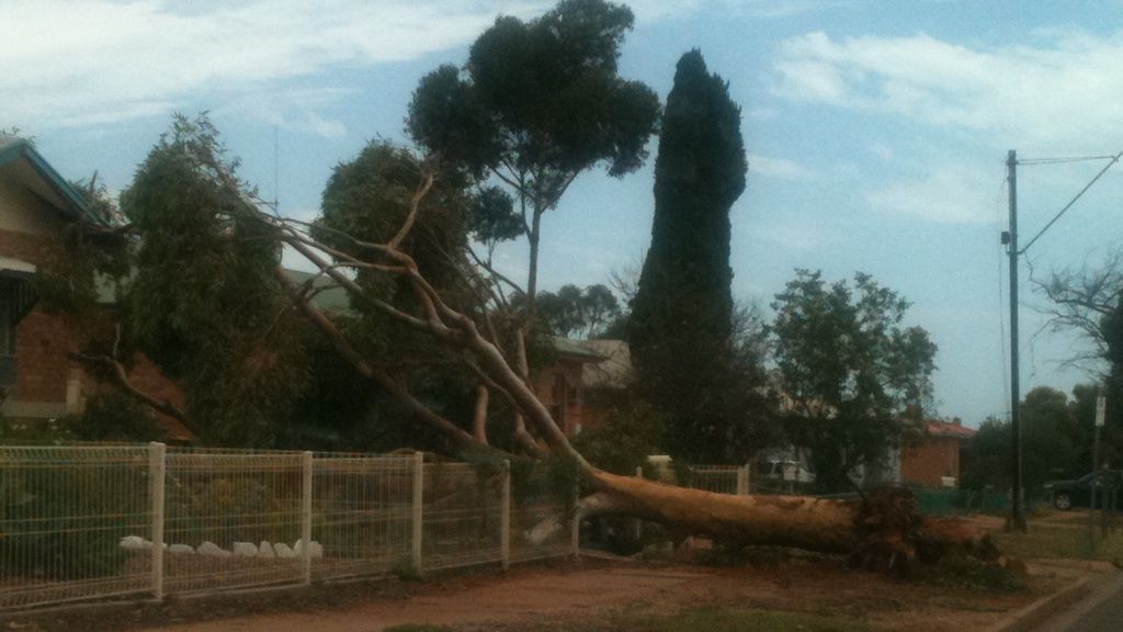 Storms Leave Thousands Without Power - ABC News