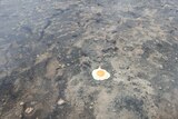 An egg cooking on burning, black ground.