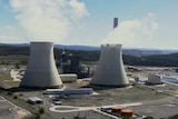 The mining sector says there needs to be a rational debate about nuclear energy. (file photo)