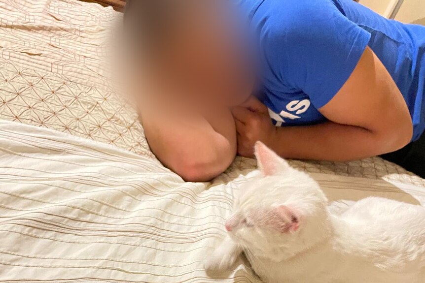 A boy lies on a bed near a white cat. His face has been blurred. A mobile phone is on the bed nearby.
