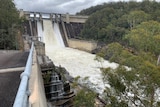 Water spills from a dam