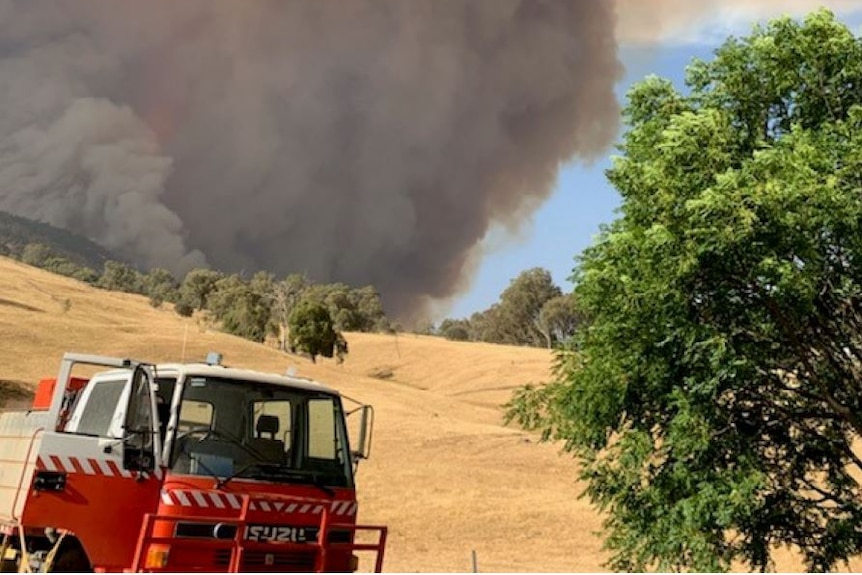 A photo of the fire tornado with a fire truck in the frame.