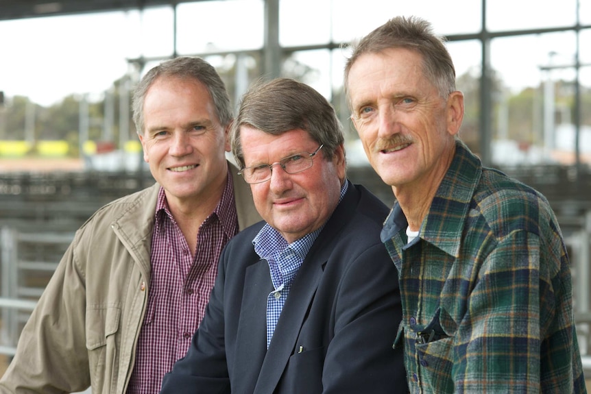 Three men in checked shirts stand together leaning on a fence in a saleyard.