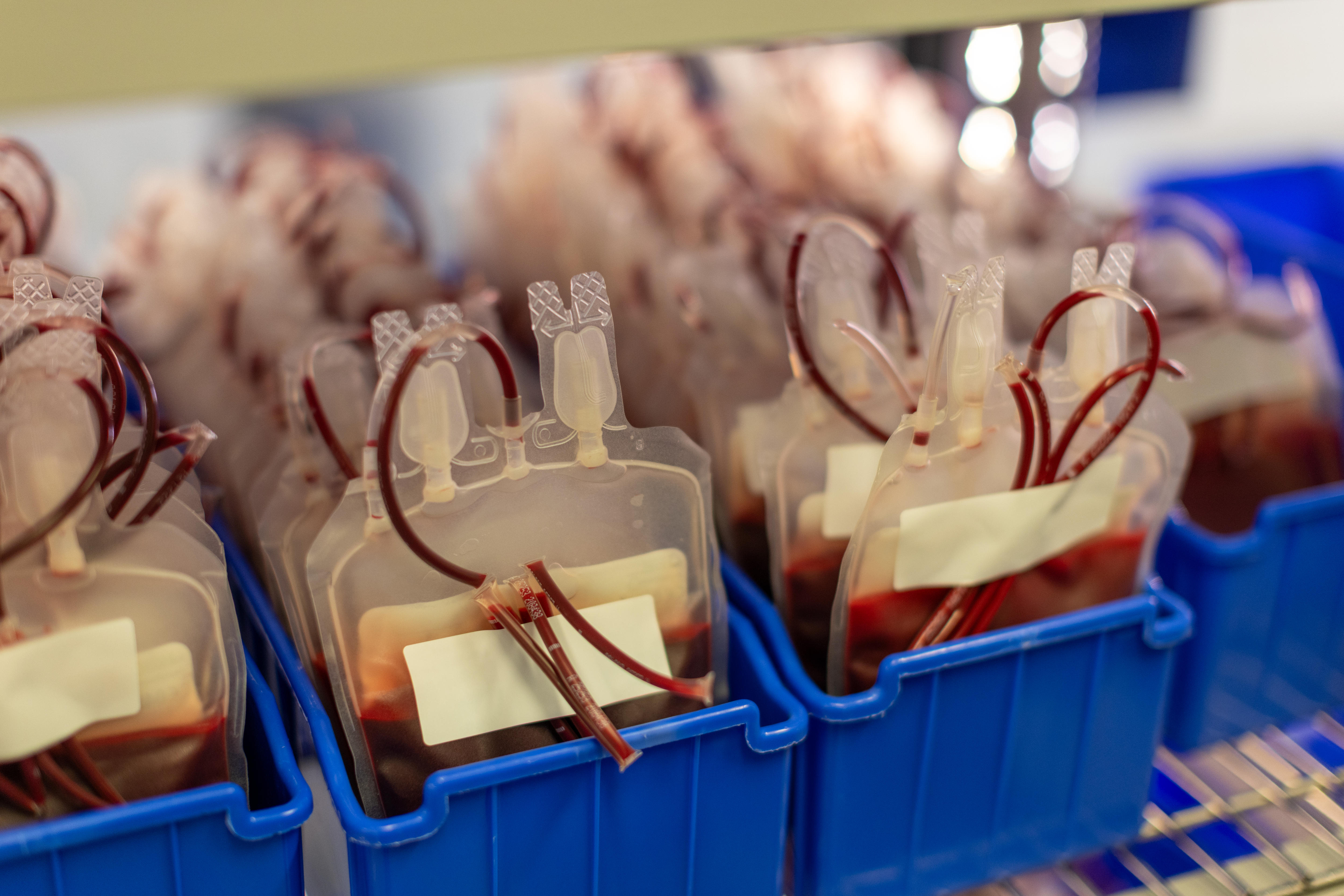 A tray of blood donation bags