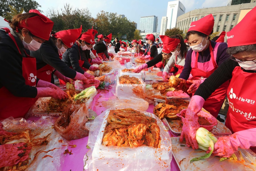 A long table filled with women, wearing red pointy headscarfs and aprons, making kimchi.