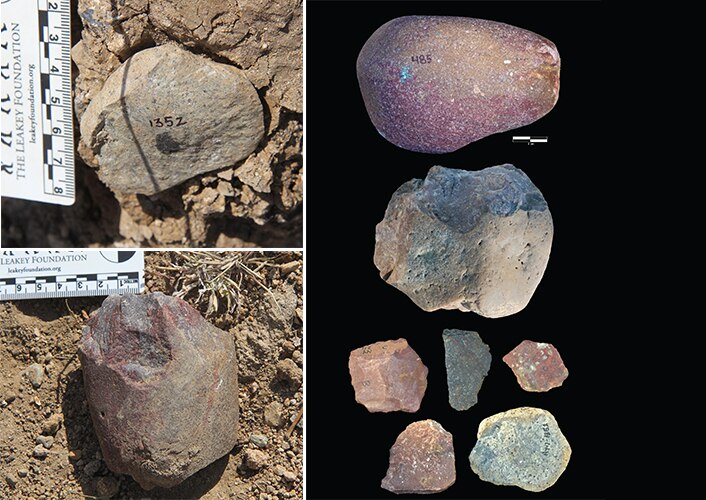 2-Million-Year-Old Stone Tools Unearthed in Tanzania, Archaeology,  Paleoanthropology