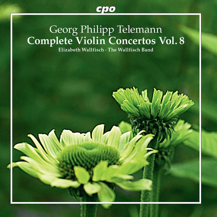 Album artwork for violinist Elizabeth Wallfisch's Telemann Complete Violin Concertos Volume 8.