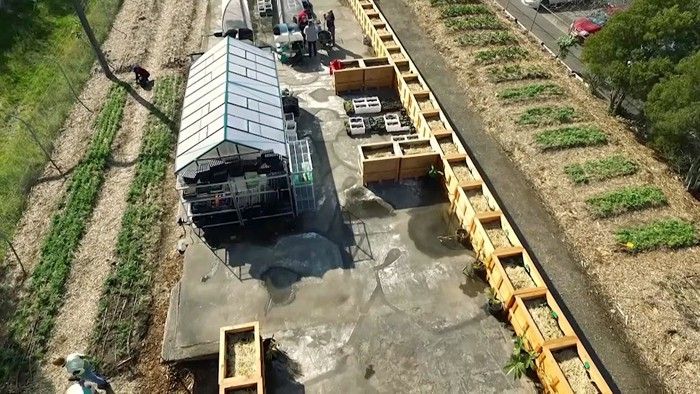 Growing Goodness - Gardening Australia