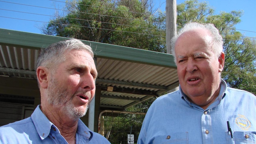 Farmers comparing fireweed control - Noel Watson (L) with Peter Ubrihien in Bega valley, NSW