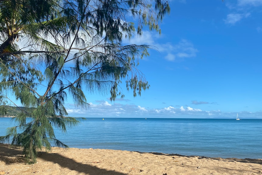 Magnetic Island