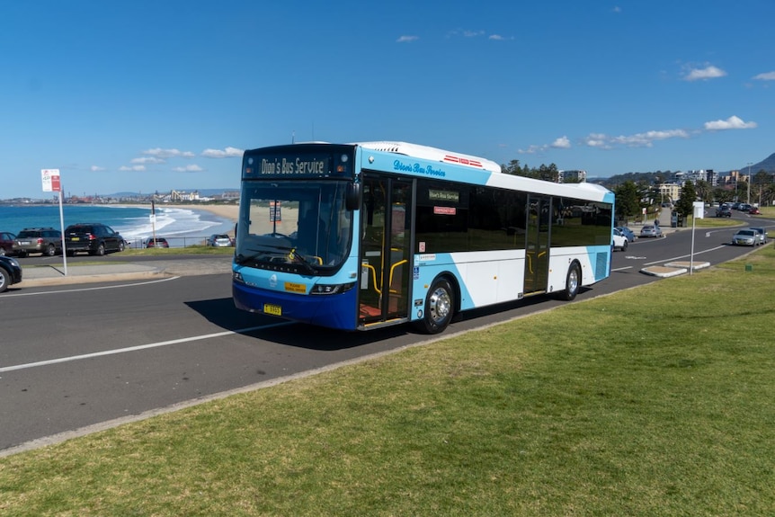 A modern bus is parked alongside green grass with the beach in the background.
