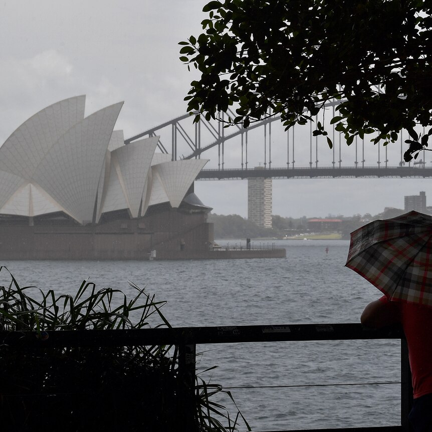 A person holds an umbrella as they look over a rainy Sydney Harbour toward the Opera House