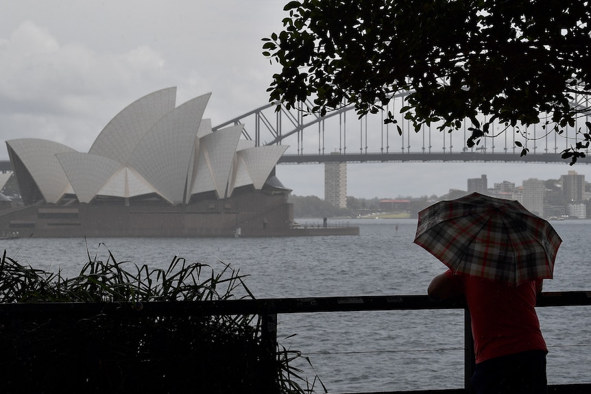 A person holds an umbrella as they look over a rainy Sydney Harbour toward the Opera House