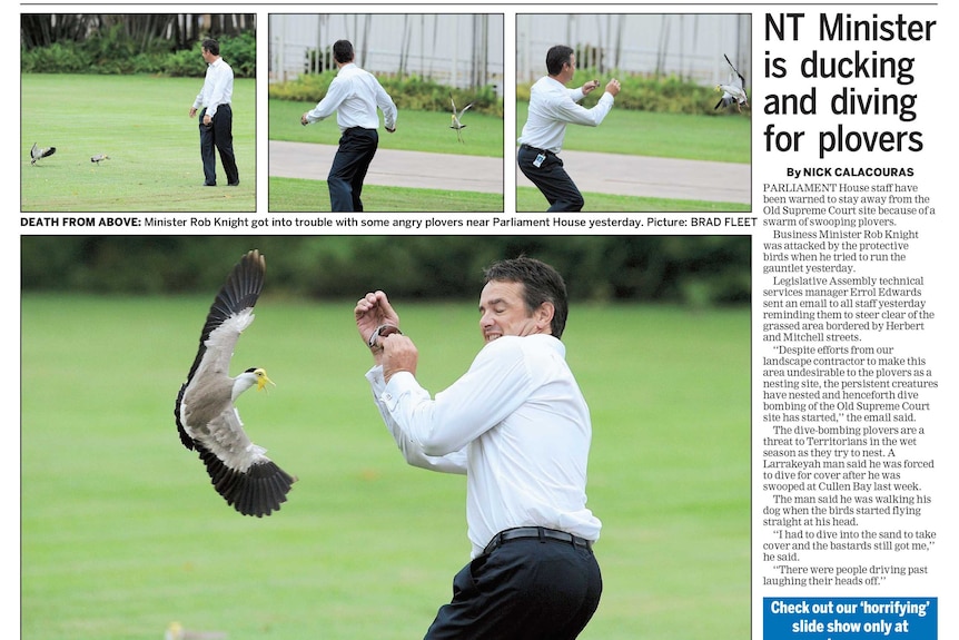 NT News article about politicians Rob Knight being attacked by birds in 2010