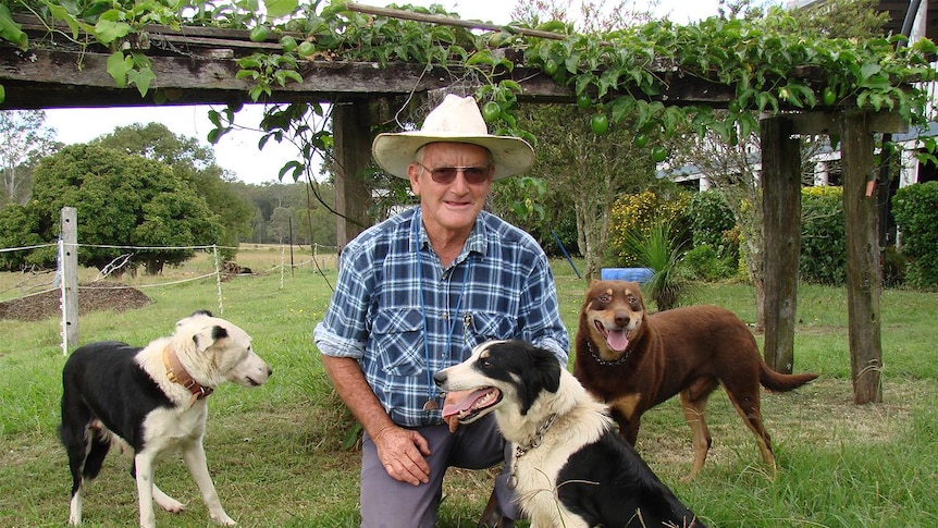 Robert Johnston and his working dogs