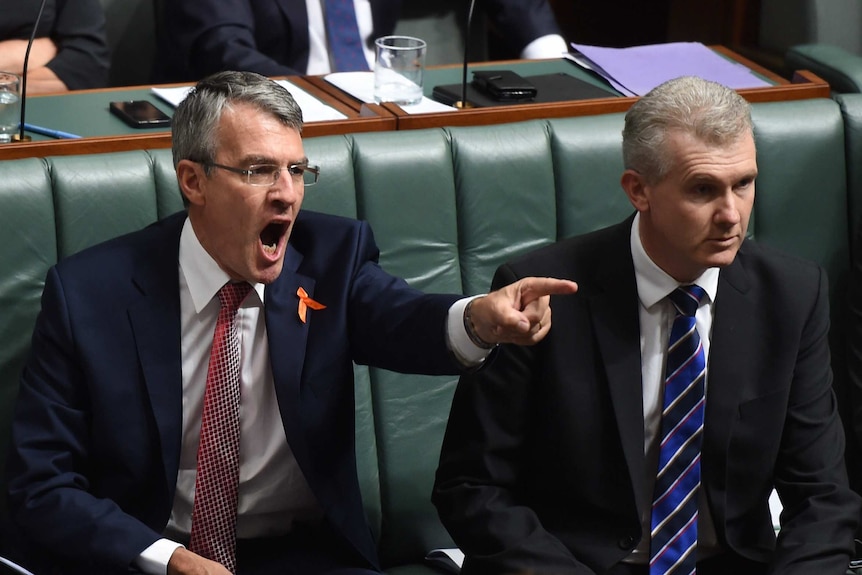 Shadow Attorney-General Mark Dreyfus during Question Time.