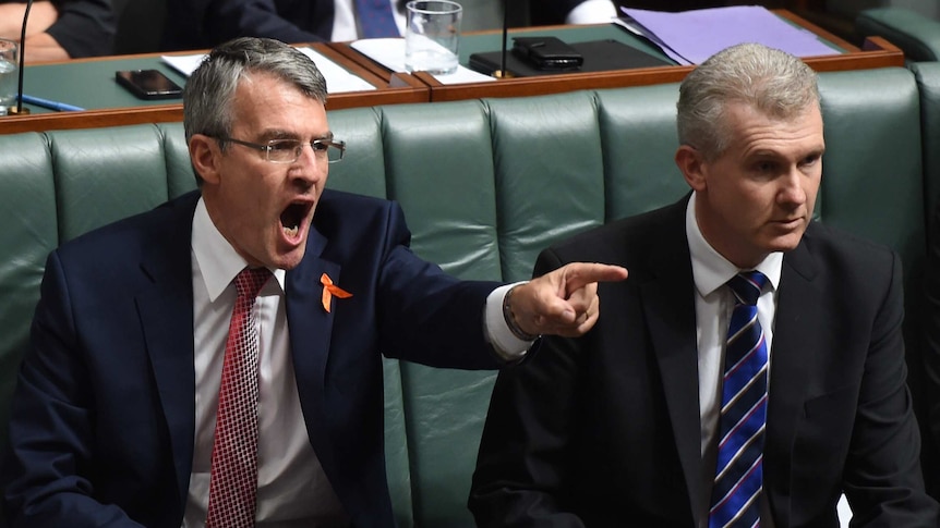 Shadow Attorney-General Mark Dreyfus reacts Question Time