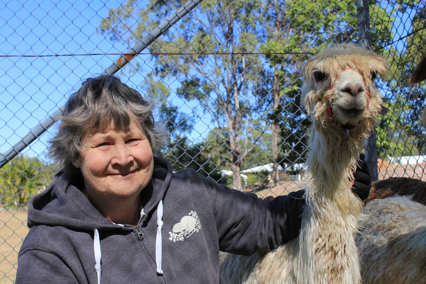 A lady crouches beside an alpaca