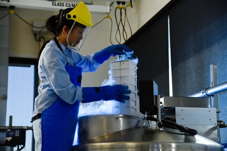 Scientists processing frozen blood in a lab