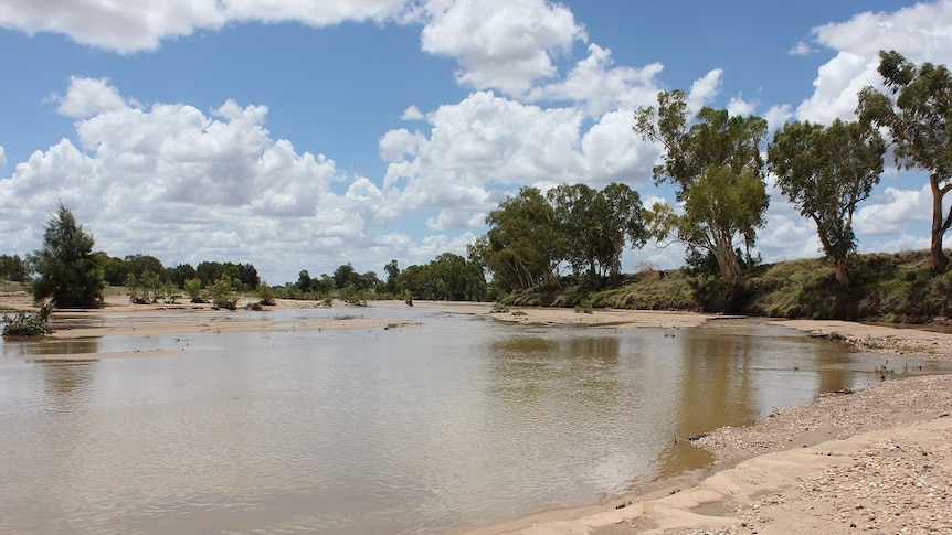 The Flinders River in Hughenden