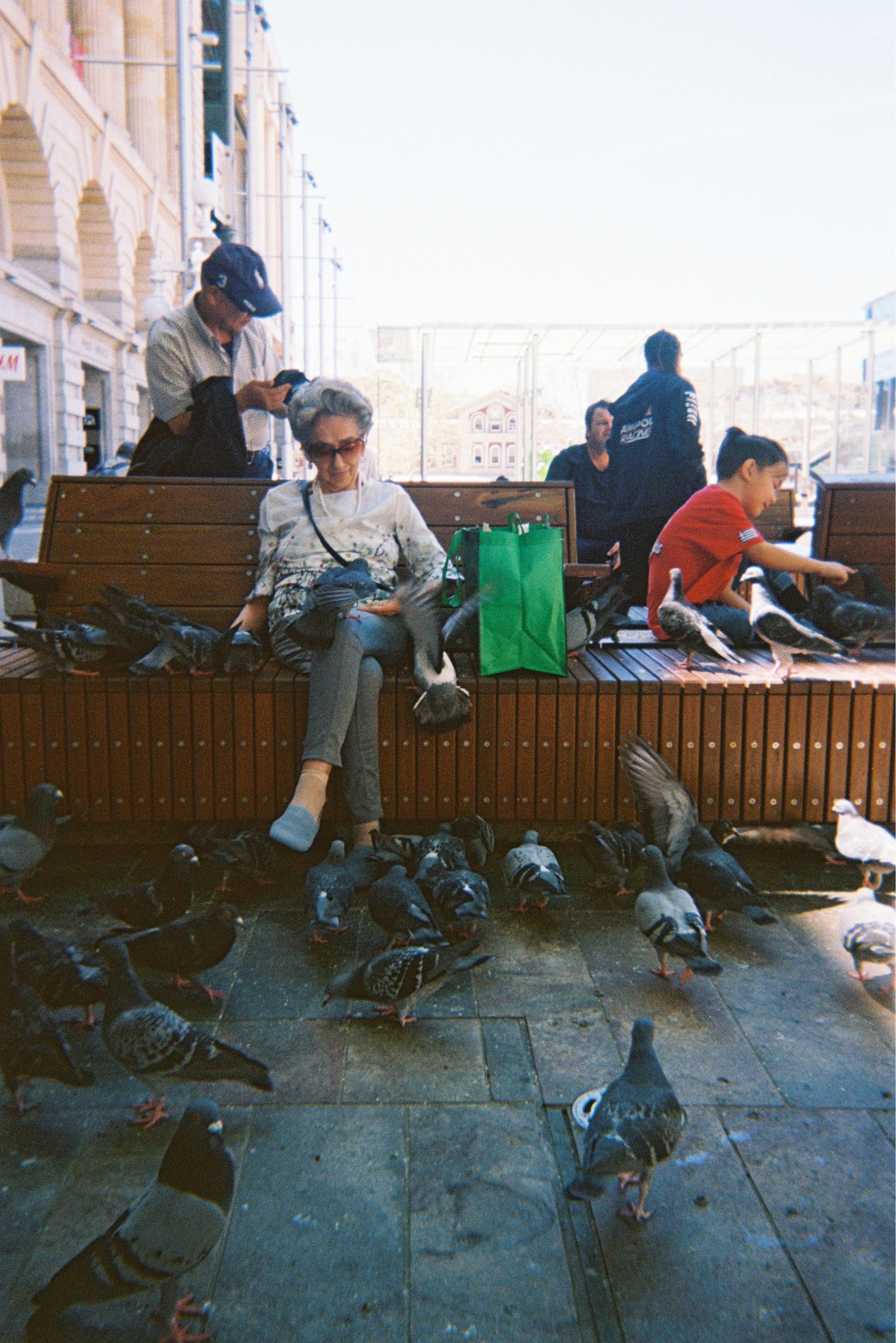 Una mujer sentada en un banco de madera rodeada de palomas, una de ellas sentada sobre sus rodillas.