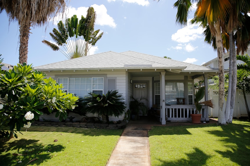 A single storey home with palm trees and a green lawn. A tree with white flowers is next to front path. 