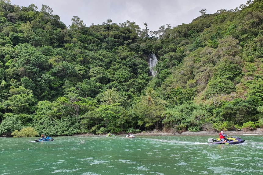 four jet skis below a heavily wooded rainforest