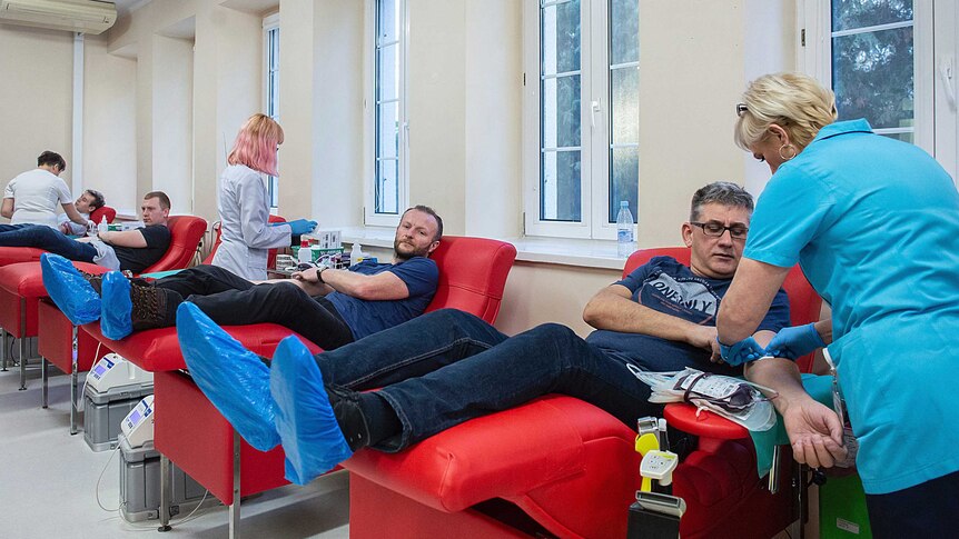 People donate blood in a row of chairs as nurses attend to them.