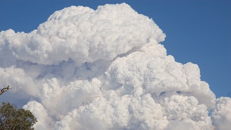Bushfires: Thick smoke is hanging over parts of Victoria (User contributed: Beatrice Anderson).