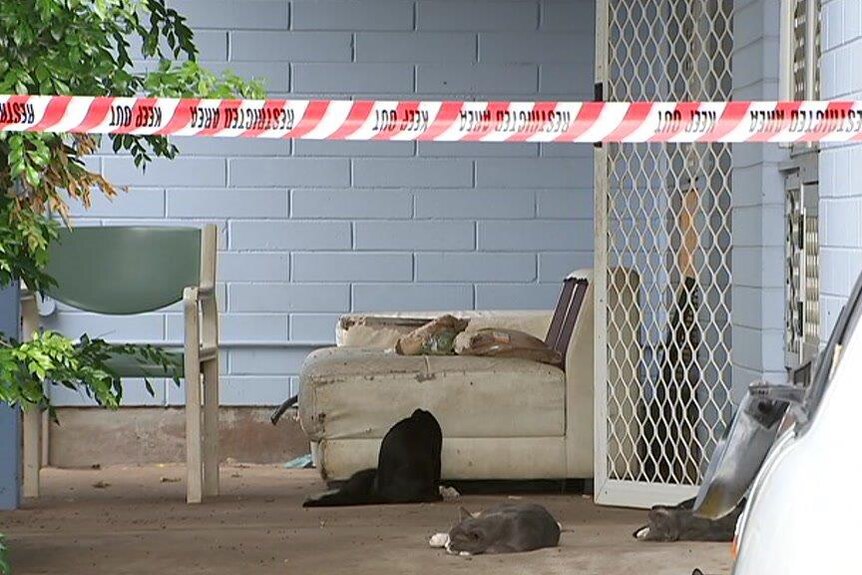 An old, torn couch sits on the patio of a brick house as police tape blocks access, except for a sleeping grey and white cat