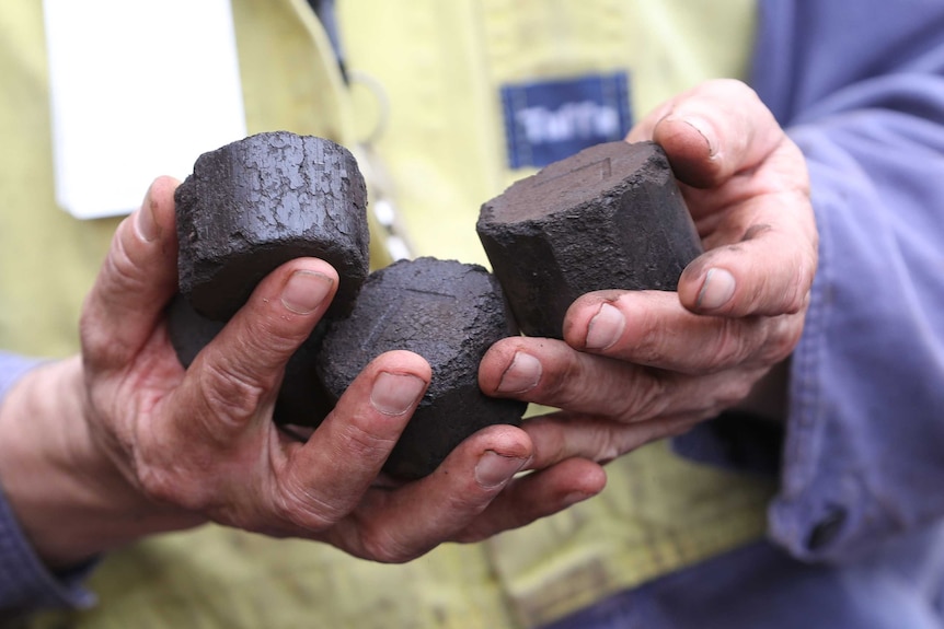 An operator holds briquettes at the Hazelwood Power Station.