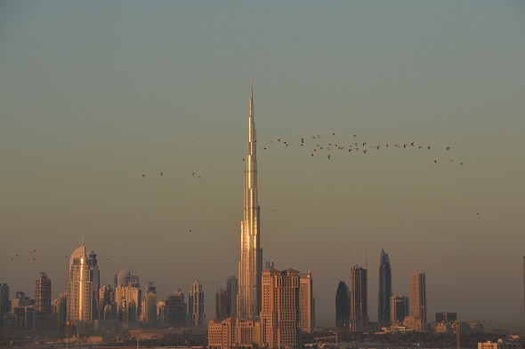 Colour photograph of the Dubai skyline.