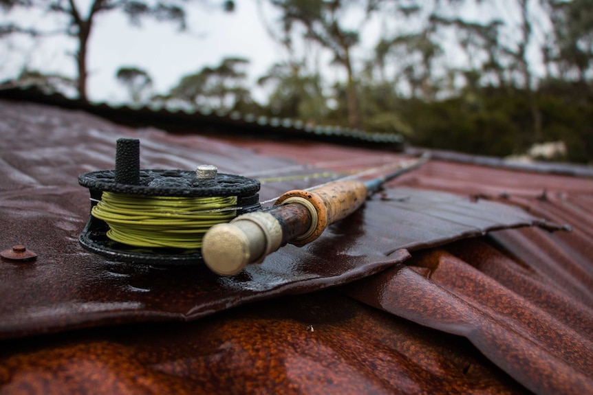 A fishing rod sits on top of a corrugated iron hut roof covered in morning dew.
