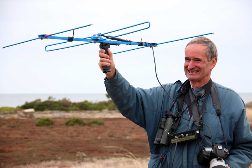 A man holding a radio transmitter to monitor the birds released from captivity.